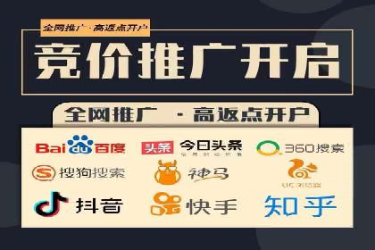 百度广告竞价与SEO结合的案例：某企业双管齐下的营销策略